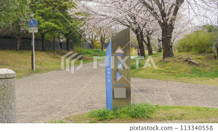 [Chiba City, Chiba Prefecture] Oyumino Shiki Road / Spring Road (near Ariyoshi Park) and cherry blossoms 113340558