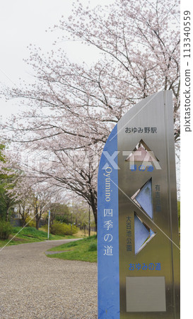 [Chiba City, Chiba Prefecture] Oyumino Shiki Road / Spring Road (near Ariyoshi Park) and cherry blossoms 113340559