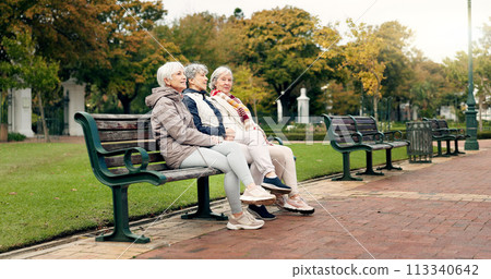 Happy, senior friends and walking together on an outdoor path or relax in nature with elderly women in retirement. People, talking and sitting for conversation on a park bench in autumn or winter 113340642