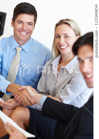 Business people, portrait and handshake for hiring or offer in office, meeting and introduction. Colleagues, partnership and welcome for recruitment, contract and deal for onboarding in interview 113340654