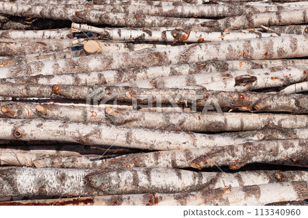 Thin birch logs pile 113340960