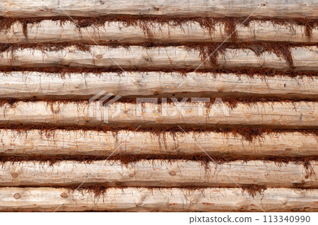 New log wall with brown moss New log wall with brown moss 113340990