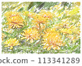 水彩花卉明信片素材 113341289