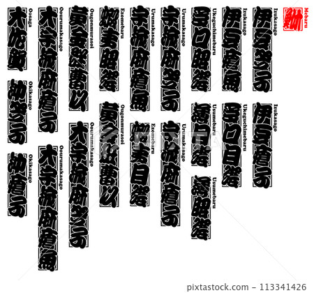 目原金眼石斑魚羅馬吉 2 113341426