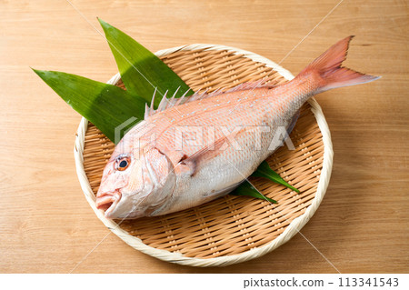 濾鍋上的紅鯛魚 113341543