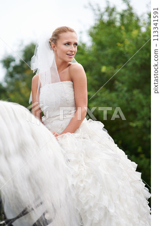 Wedding, woman and riding with horse outdoor or happiness for celebration, marriage and confidence in countryside. Bride, person and stallion on lawn in field with smile, dress and animal at ceremony Wedding, woman and riding with horse outdoor or happiness for celebration, marriage and confidence in countryside. Bride, person and stallion on lawn in field with smile, dress and animal at ceremony 113341591