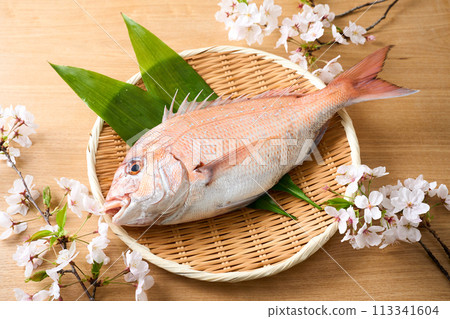 漏勺上的紅鯛魚 櫻花鯛魚 漏勺上的紅鯛魚 櫻花鯛魚 113341604