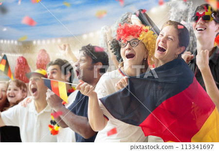 Germany football team supporter on stadium. Germany football team supporter on stadium. 113341697