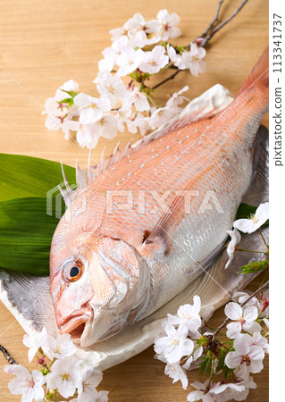 盤子裡的紅鯛魚 櫻花鯛魚 盤子裡的紅鯛魚 櫻花鯛魚 113341737