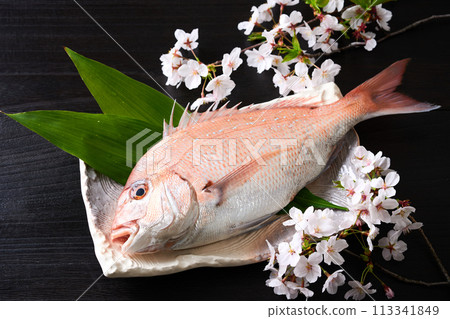 盤子裡的紅鯛魚 櫻花鯛魚 113341849