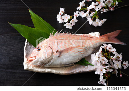 盤子裡的紅鯛魚 櫻花鯛魚 盤子裡的紅鯛魚 櫻花鯛魚 113341853
