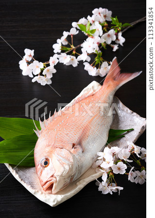 盤子裡的紅鯛魚 櫻花鯛魚 盤子裡的紅鯛魚 櫻花鯛魚 113341854