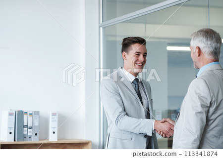 Businessman, smile and shaking hands with CEO, manager and suit for deal or promotion. Man, consult and hand for contract agreement, interview and leadership for agency and office partnership 113341874