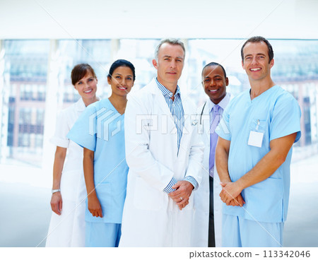 Portrait, smile and doctor with healthcare, nurse and career with happiness, clinic and diversity. Face, people and group with medical, professional or about us in a hospital, cooperation or wellness 113342046