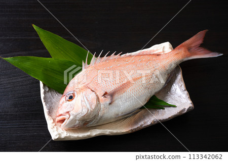 盤子裡的紅鯛魚 盤子裡的紅鯛魚 113342062