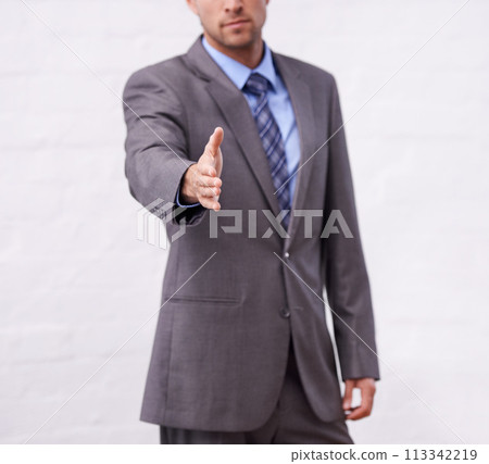 Business man, handshake and introduction for interview, agreement or welcome to deal, success and thank you. Professional or corporate person shaking hands for partnership on a white wall background Business man, handshake and introduction for interview, agreement or welcome to deal, success and thank you. Professional or corporate person shaking hands for partnership on a white wall background 113342219