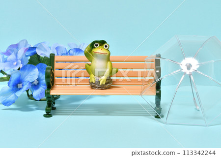 雨季青蛙、雨傘和繡球花的形象 113342244