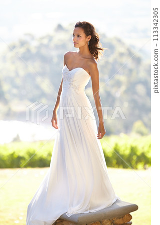 Woman, wedding dress and marriage in garden celebration or commitment, love or partnership promise. Female person, bride and elegant gown or summer park ceremony for happy, romance or nature party Woman, wedding dress and marriage in garden celebration or commitment, love or partnership promise. Female person, bride and elegant gown or summer park ceremony for happy, romance or nature party 113342305