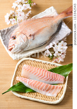 生魚片用紅鯛魚 113342543