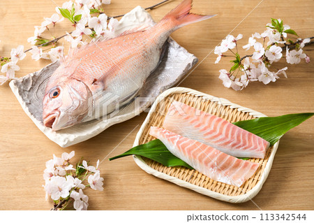 生魚片用紅鯛魚 113342544