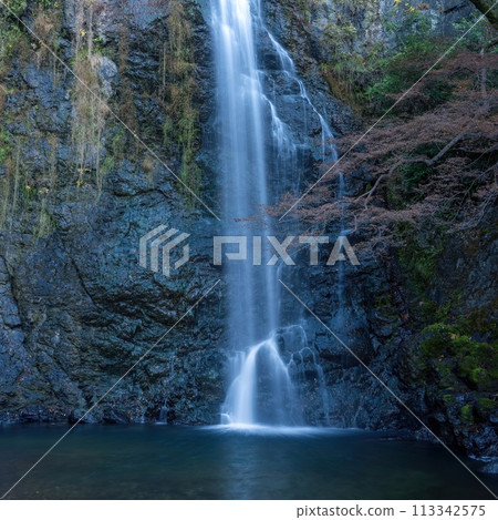 箕面瀑布動態的深秋景象 箕面瀑布動態的深秋景象 113342575