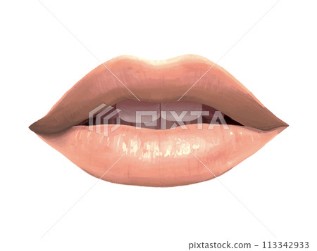 嘴唇(粉紅色) 嘴唇(粉紅色) 113342933