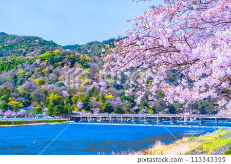 在Arashiyama和Togetsu橋的櫻花 在Arashiyama和Togetsu橋的櫻花 113343395