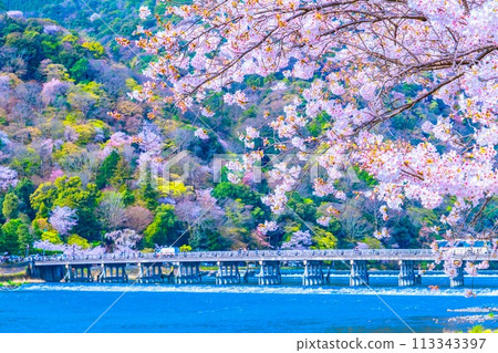 Cherry blossoms at Arashiyama and Togetsu bridge Cherry blossoms at Arashiyama and Togetsu bridge 113343397