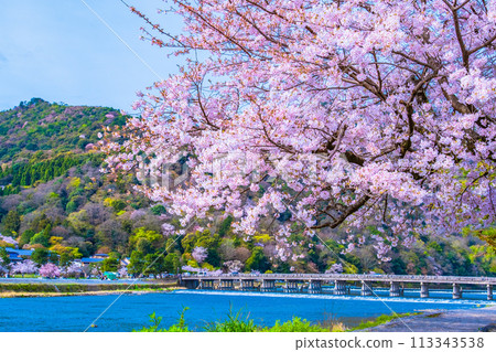在Arashiyama和Togetsu橋的櫻花 在Arashiyama和Togetsu橋的櫻花 113343538