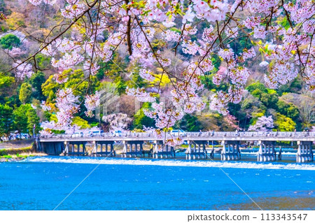 Cherry blossoms at Arashiyama and Togetsu bridge 113343547
