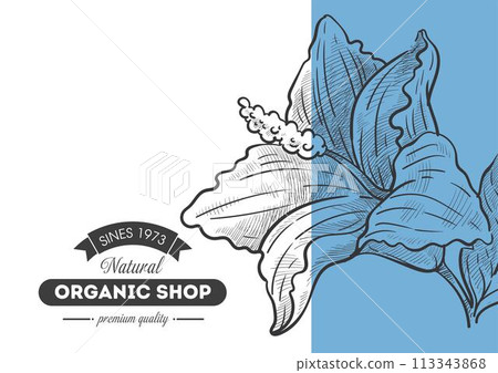 Organic shop, quality products in store, flora 113343868