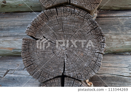 Cracked butt-edge of old log Cracked butt-edge of old log 113344269