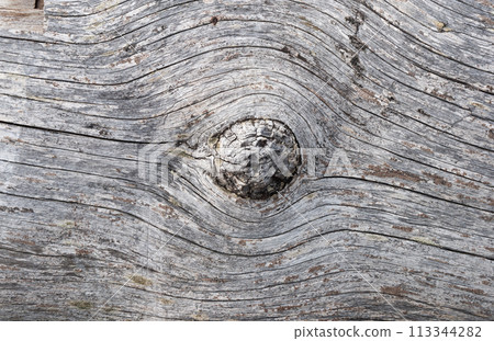Big knot on an old weathered wooden log 113344282