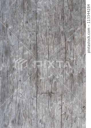 Old weathered wooden log texture Old weathered wooden log texture 113344284