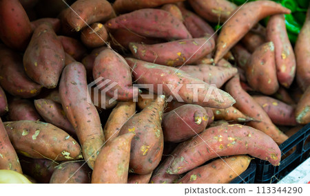 Raw sweet potatoes 113344290