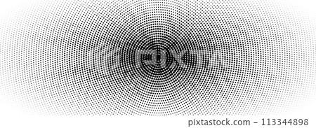 Radial halftone grunge fading texture. Vanishing dotted circle line background. Black pop art dot gradient backdrop. Retro comic cartoon noise for poster, overlay, cover, print. Vector grain wallpaper 113344898