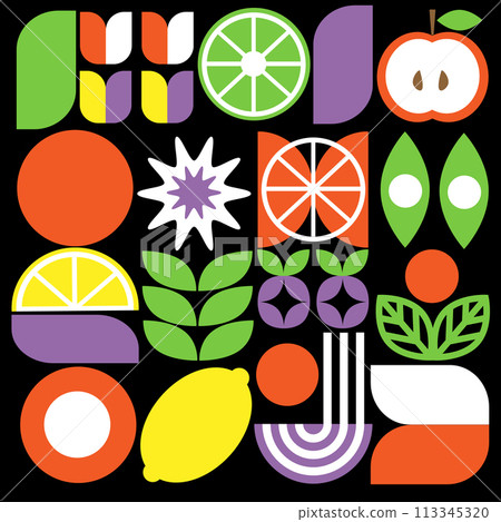 Abstract geometric fruit pattern. Shapes of natural organic flower plants, eco-agriculture citrus. Vector minimal illustration Abstract geometric fruit pattern. Shapes of natural organic flower plants, eco-agriculture citrus. Vector minimal illustration 113345320