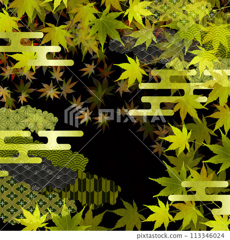 Fresh green leaves maple background 113346024