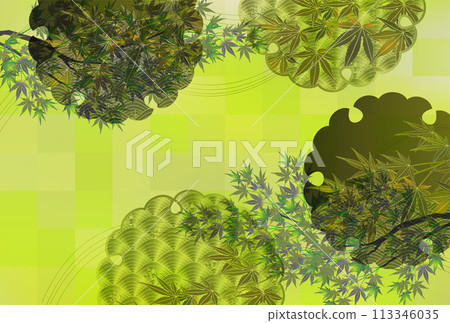 新鮮的綠葉楓葉背景 113346035