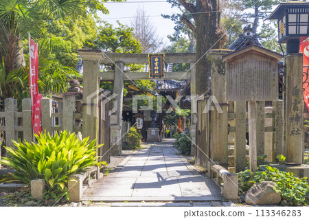 京都御苑白雲神社 113346283
