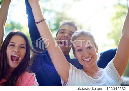 Portrait, friends and celebration at music festival in nature, bonding and happiness with social in forest. Man, women and happy face with hands in air, camping and outdoor adventure in denmark woods 113346382