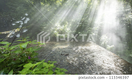 A scene of light shining on a clear stream in the forest - Oyamakiyazawa mountain stream A scene of light shining on a clear stream in the forest - Oyamakiyazawa mountain stream 113346397
