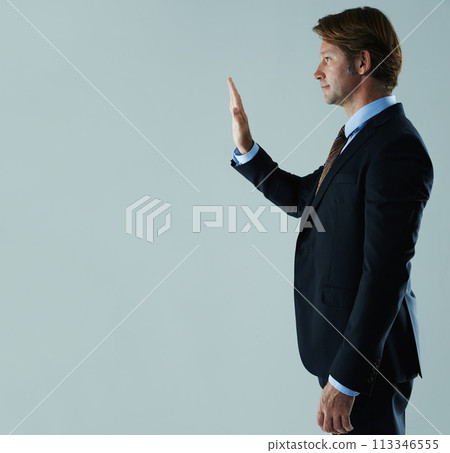 Business man, suit and hand for wave, stop or gesture for symbol or interaction in corporate or company. Young person, executive or professional with arm up for signal, direct or touch on mockup Business man, suit and hand for wave, stop or gesture for symbol or interaction in corporate or company. Young person, executive or professional with arm up for signal, direct or touch on mockup 113346555