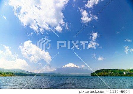 春天的富士山 113346664