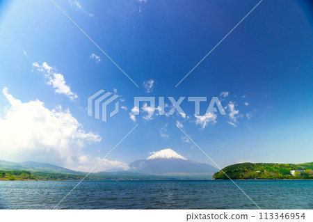 春天的富士山 113346954