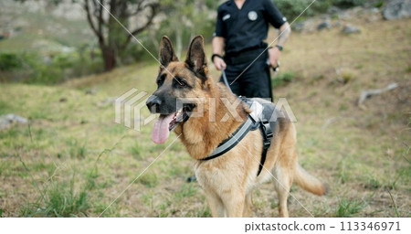 Police man, dogs and at crime scene on field, first responder and law enforcement for investigation in k9 unit. Emergency response, canine search and rescue and sniffer dog for human scent or drugs Police man, dogs and at crime scene on field, first responder and law enforcement for investigation in k9 unit. Emergency response, canine search and rescue and sniffer dog for human scent or drugs 113346971