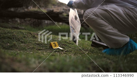 Csi, collect or evidence at crime scene for investigation in forest with safety bag or protection hazmat..Forensic career, expert investigator and examination for observation or case research outdoor 113346990