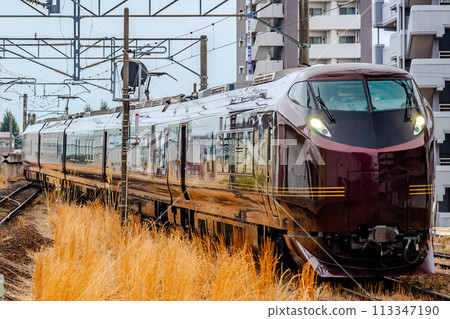 E655系列Nagomi(日本)專列 E655系列Nagomi(日本)專列 113347190