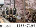 E721 series 1000 train passing the cherry blossom-lined street at Kita-Sendai Station E721 series 1000 train passing the cherry blossom-lined street at Kita-Sendai Station 113347194