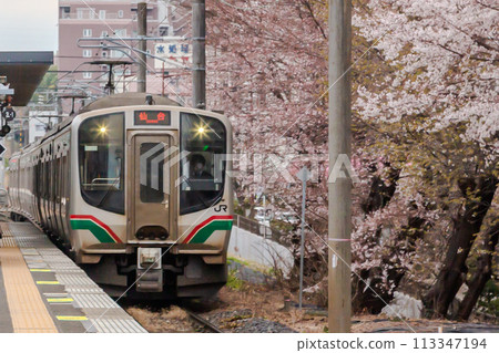 E721系列1000沿著北仙台站的櫻花樹行駛 113347194